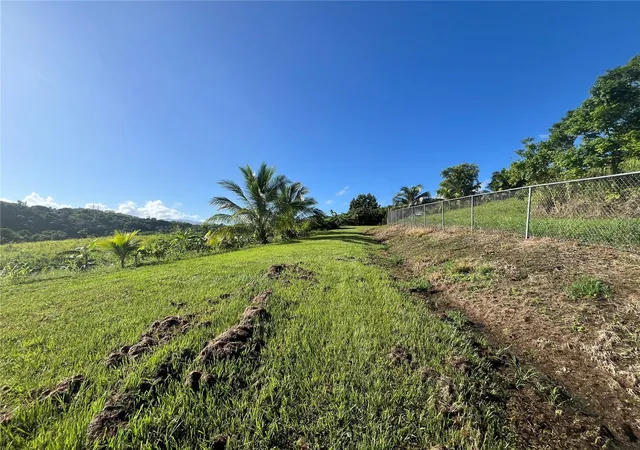 Photo 2 of Land for sale at Carr 857 Kmhm 003 3 Bo Canovanillas, Carolina, PR 00987 | MLS# PR9112773 | Listing updated on 2026-09-30