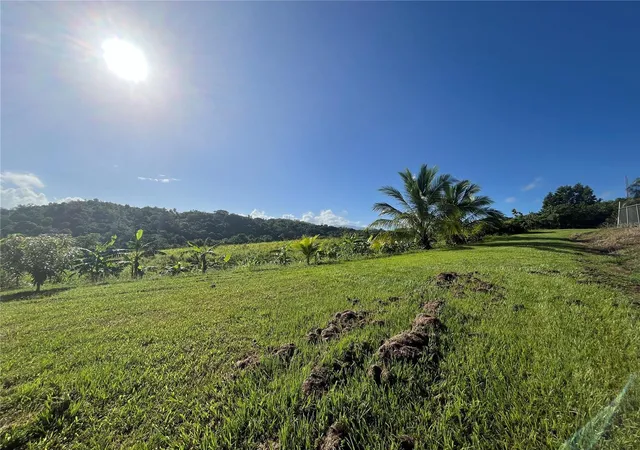 Photo 3 of Land for sale at Carr 857 Kmhm 003 3 Bo Canovanillas, Carolina, PR 00987 | MLS# PR9112773 | Listing updated on 2026-09-30