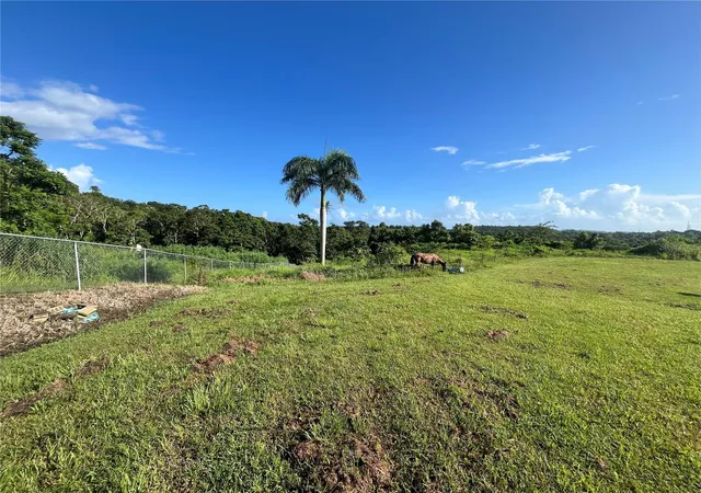 Photo 4 of Land for sale at Carr 857 Kmhm 003 3 Bo Canovanillas, Carolina, PR 00987 | MLS# PR9112773 | Listing updated on 2026-09-30