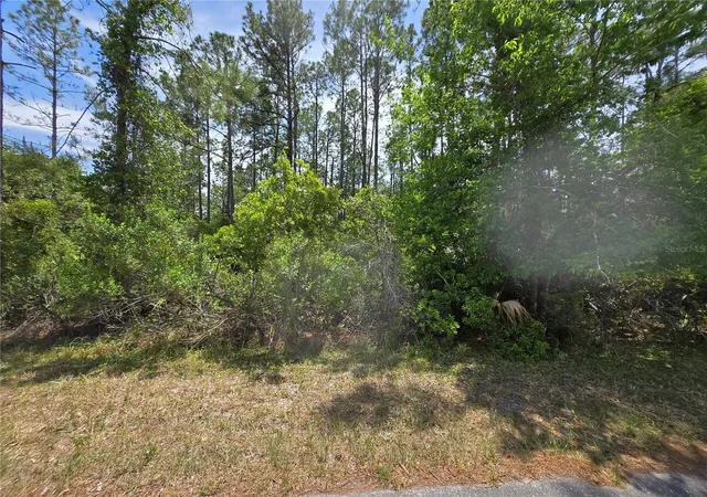 3rd image of W Bluebell Ave, Eustis, FL 32736 | MLS# S5124121