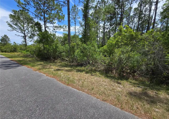 5th image of W Bluebell Ave, Eustis, FL 32736 | MLS# S5124121