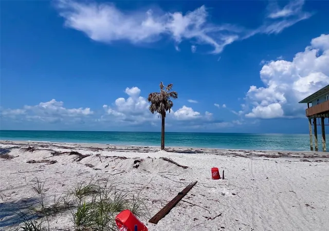 Homes for sale in Placida, FL | 8438 Little Gasparilla Is, Placida, FL 33946 | MLS# D6141779