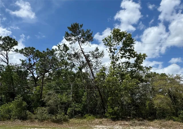 Photo 1 of Land for sale at 2185 Waterfall Dr, Spring Hill, FL 34608 | MLS# TB8370684 | Listing updated on 2026-09-17