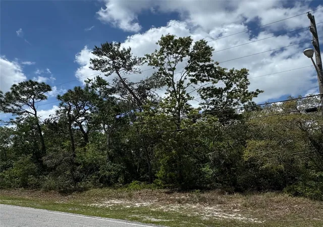 Photo 3 of Land for sale at 2185 Waterfall Dr, Spring Hill, FL 34608 | MLS# TB8370684 | Listing updated on 2026-09-17