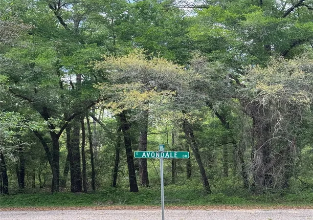 Photo 1 of Land for sale at 433 E Avondale Dr, Dunnellon, FL 34434 | MLS# TB8370788 | Listing updated on 2026-08-04