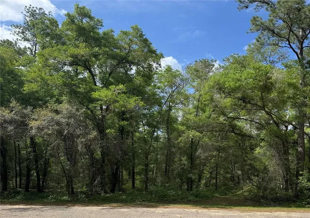Photo 2 of Land for sale at 433 E Avondale Dr, Dunnellon, FL 34434 | MLS# TB8370788 | Listing updated on 2026-08-04