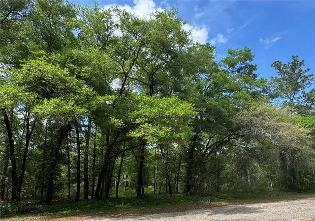 Photo 3 of Land for sale at 433 E Avondale Dr, Dunnellon, FL 34434 | MLS# TB8370788 | Listing updated on 2026-08-04
