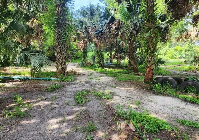 Photo 4 of Land for sale at Sanford Ave, Sanford, FL 32773 | MLS# O6297224 | Listing updated on 2026-07-15