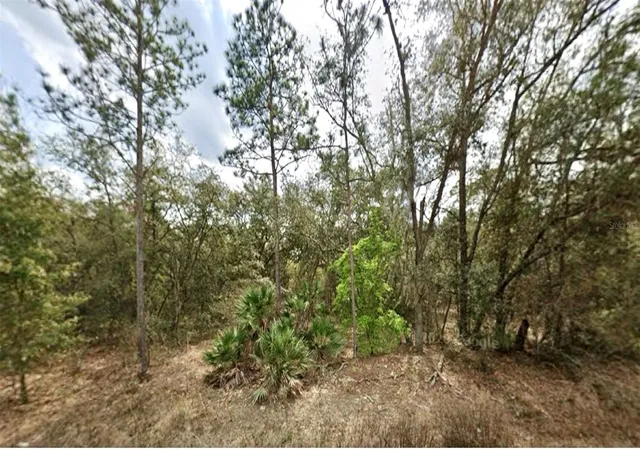 Photo 1 of Land for sale at 109 Dottie St, Interlachen, FL 32148 | MLS# O6297359 | Listing updated on 2026-08-11