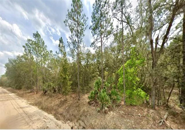Photo 2 of Land for sale at 109 Dottie St, Interlachen, FL 32148 | MLS# O6297359 | Listing updated on 2026-08-11