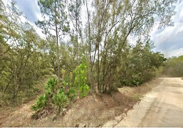 Photo 3 of Land for sale at 109 Dottie St, Interlachen, FL 32148 | MLS# O6297359 | Listing updated on 2026-08-11