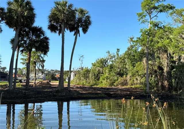 3rd image of Lot K4 Blue Heron Circle, Deer Island, FL 32778 | MLS# TB8371366