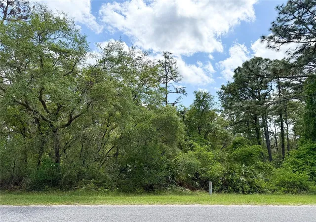 4th image of Lot 2 Quince Ave, Eustis, FL 32736 | MLS# G5095498