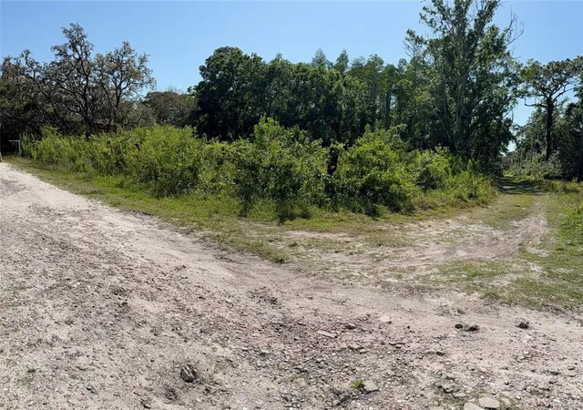 Photo 1 of Land for sale at Elza St, New Port Richey, FL 34654 | MLS# TB8372475 | Listing updated on 2026-10-01