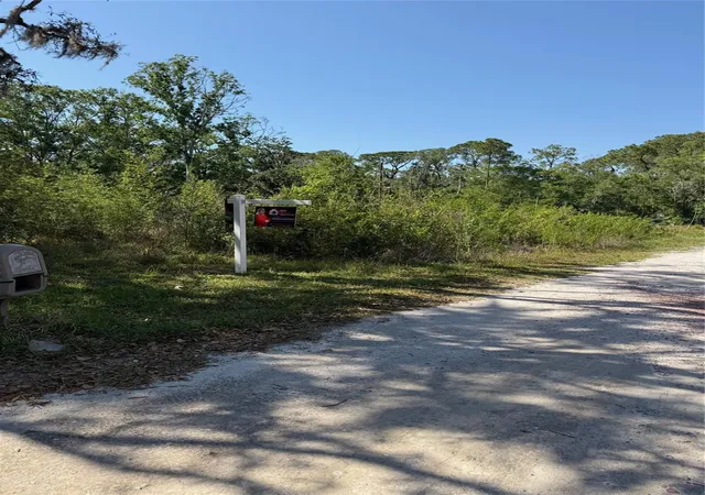 Photo 2 of Land for sale at Elza St, New Port Richey, FL 34654 | MLS# TB8372475 | Listing updated on 2026-10-01