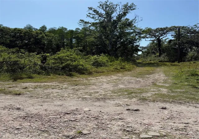 Photo 3 of Land for sale at Elza St, New Port Richey, FL 34654 | MLS# TB8372475 | Listing updated on 2026-10-01