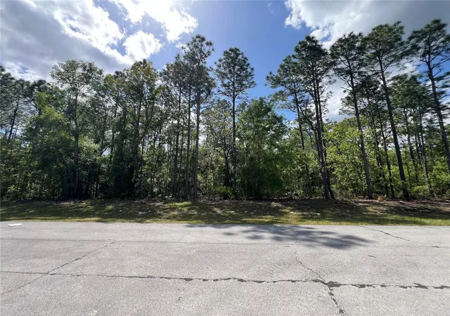 Photo 2 of Land for sale at Sw 89 Circle, Ocala, FL 34473 | MLS# OM699087 | Listing updated on 2026-05-11