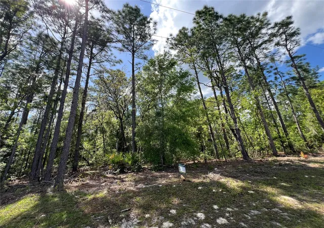 Photo 10 of Land for sale at Sw 89 Circle, Ocala, FL 34473 | MLS# OM699087 | Listing updated on 2026-05-11