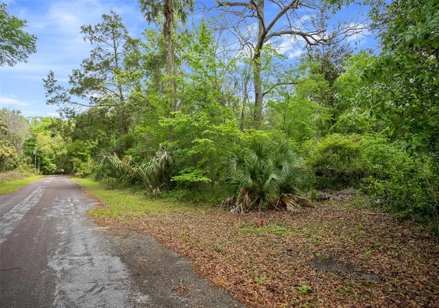 Photo 3 of Land for sale at 5043 S Palo Verde Point, Homosassa, FL 34448 | MLS# OM699088 | Listing updated on 2026-08-28