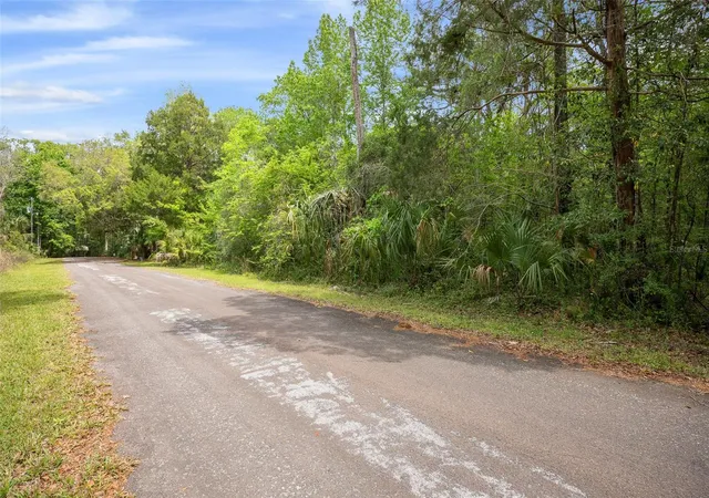 Photo 4 of Land for sale at 5043 S Palo Verde Point, Homosassa, FL 34448 | MLS# OM699088 | Listing updated on 2026-08-28