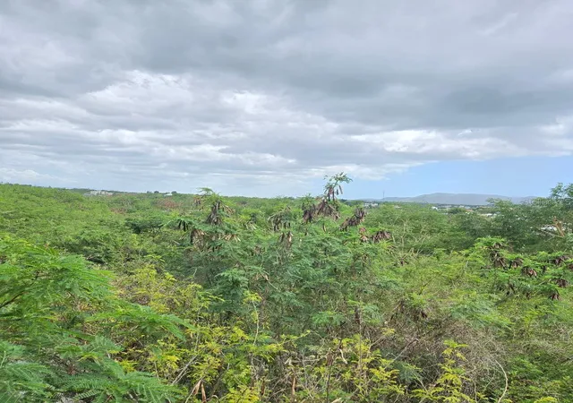 Photo 2 of Land for sale at 307 Pedernales Ward, Cabo Rojo, PR 00623 | MLS# PR9112989 | Listing updated on 2026-03-31