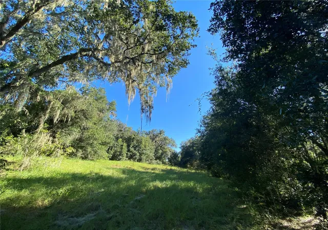 4th image of 8701 S Fruition Ave, Floral City, FL 34436 | MLS# TB8373221