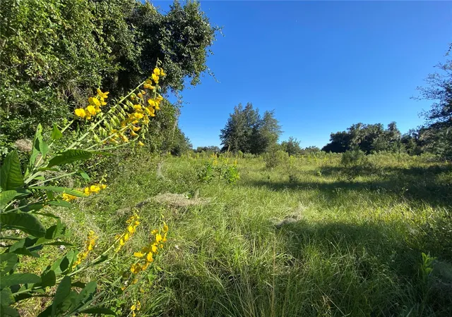1st image of 8701 S Fruition Ave, Floral City, FL 34436 | MLS# TB8373221