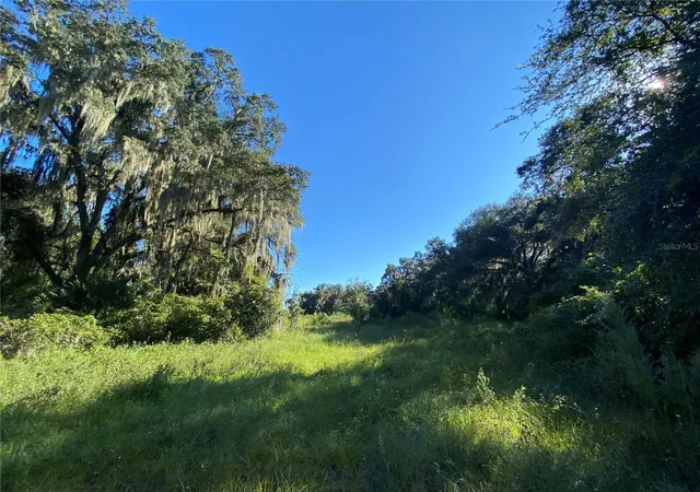 3rd image of 8701 S Fruition Ave, Floral City, FL 34436 | MLS# TB8373221