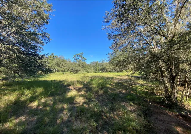 50th image of 8701 S Fruition Ave, Floral City, FL 34436 | MLS# TB8373221