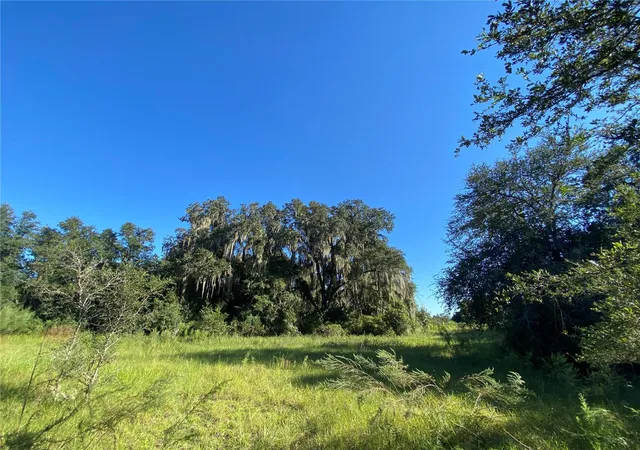 3rd image of 7373 E Savannah Ct, Floral City, FL 34436 | MLS# TB8373233