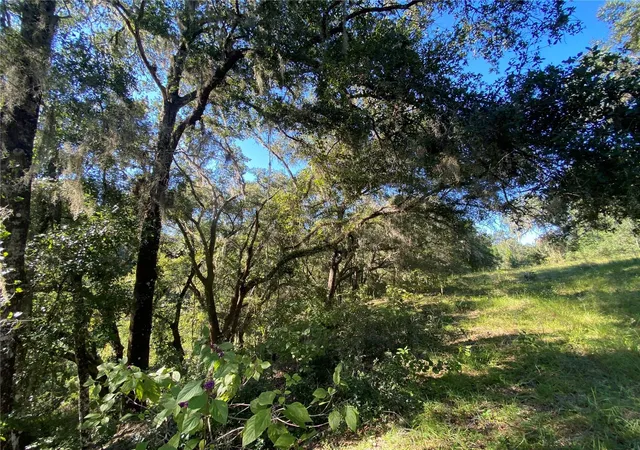 1st image of 7373 E Savannah Ct, Floral City, FL 34436 | MLS# TB8373233