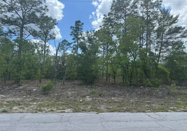 Photo 1 of Land for sale at 2984 W Liza Pl, Dunnellon, FL 34433 | MLS# A4648589 | Listing updated on 2026-03-03