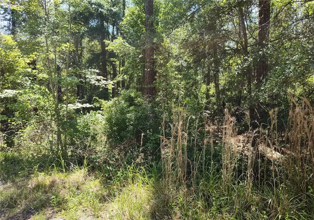 1st image of 0000 Ne 66th Ave, Citra, FL 32113 | MLS# OM699268