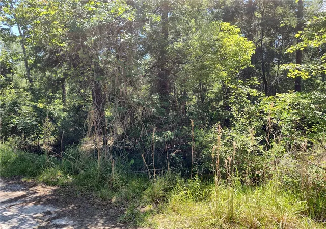 2nd image of 0000 Ne 66th Ave, Citra, FL 32113 | MLS# OM699268