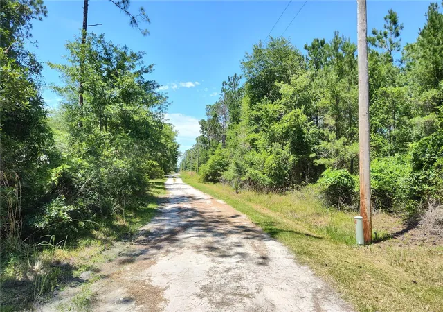 4th image of 0000 Ne 66Th Ave, Citra, FL 32113 | MLS# OM699268