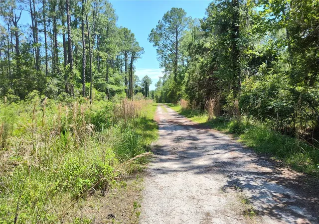 5th image of 0000 Ne 66th Ave, Citra, FL 32113 | MLS# OM699268