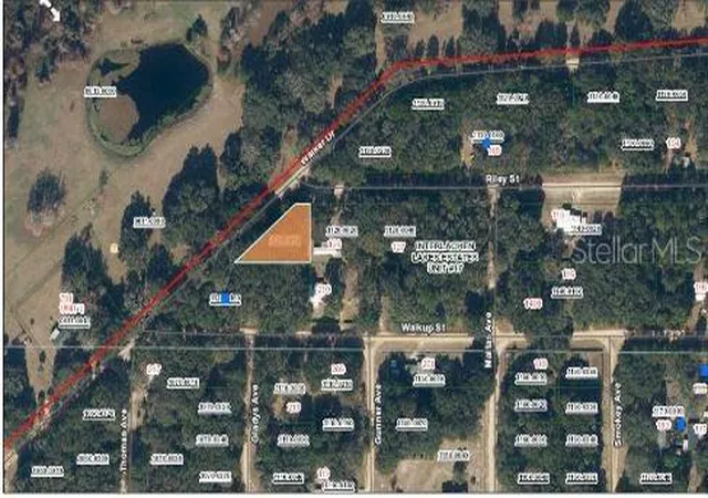 5th image of Riley St, Interlachen, FL 32148 | MLS# O6299521