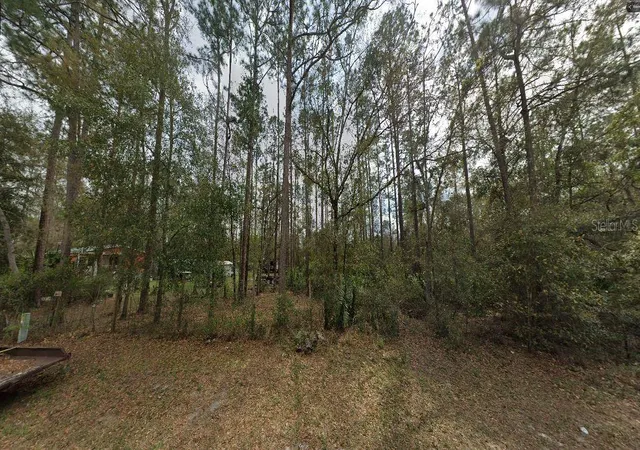 7th image of Riley St, Interlachen, FL 32148 | MLS# O6299521