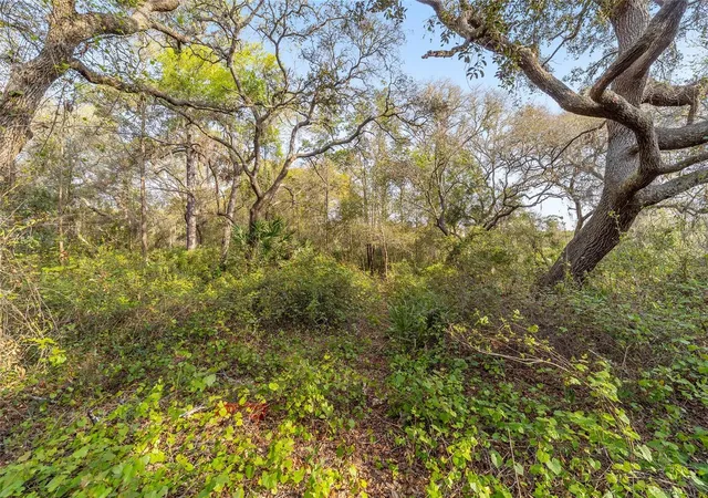 4th image of 475 Fisher Rd, Ocklawaha, FL 32179 | MLS# OM699363