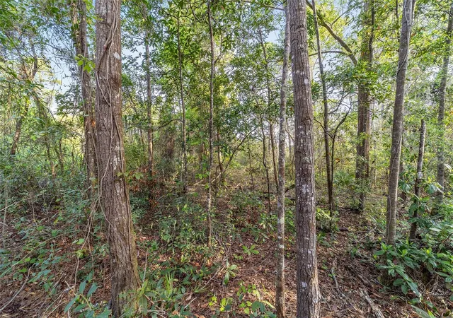 5th image of 475 Fisher Rd, Ocklawaha, FL 32179 | MLS# OM699363