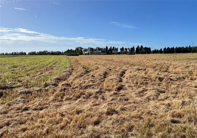 98th image of 701 E 60 Hwy, Plant City, FL 33567 | MLS# L4952200