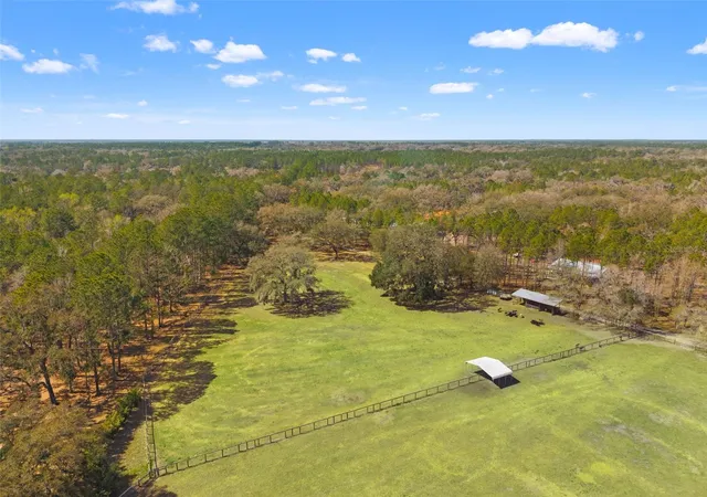 100th image of 3431 Saturn Rd, Brooksville, FL 34604 | MLS# W7874617