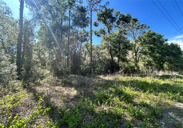 3rd image of 9319 S Florida Ave, Floral City, FL 34436 | MLS# OM699528