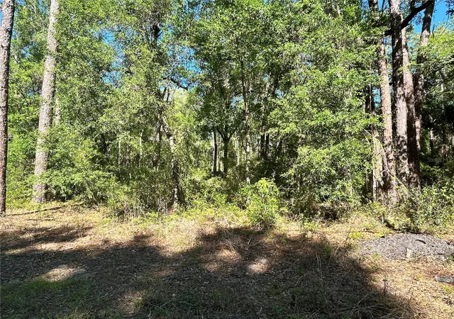 4th image of 9319 S Florida Ave, Floral City, FL 34436 | MLS# OM699528