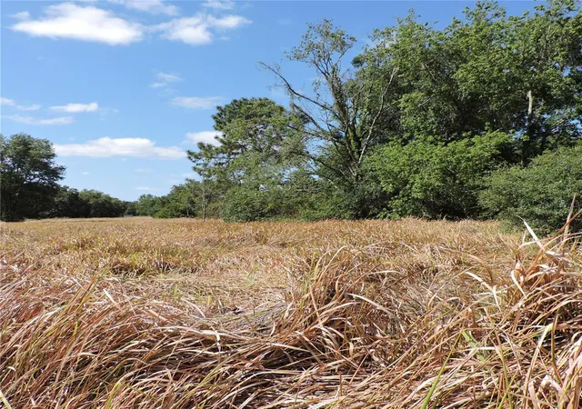 25th image of Maricamp Rd, Ocklawaha, FL 32179 | MLS# O6300590