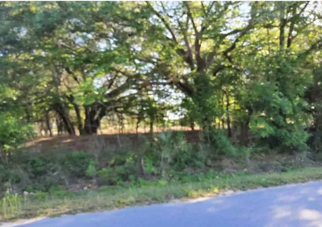 4th image of Maricamp Rd, Ocklawaha, FL 32179 | MLS# O6300590