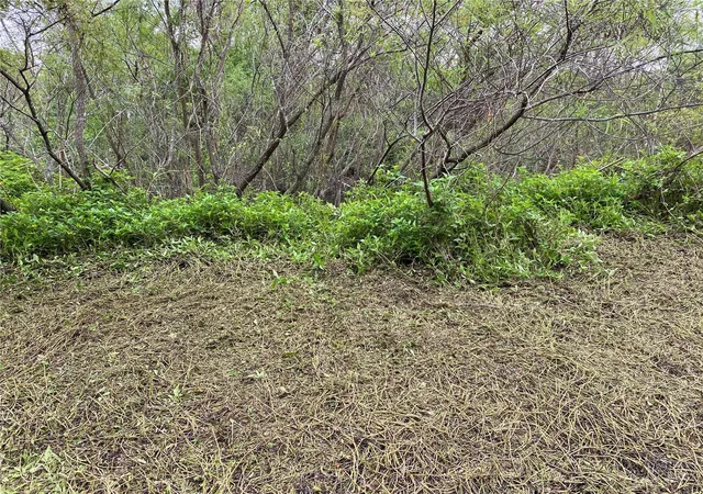 Photo 2 of Land for sale at 411 Solona St, Punta Gorda, FL 33950 | MLS# TB8376035 | Listing updated on 2026-02-23