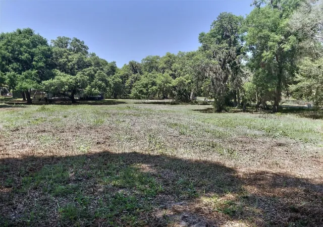 11th image of 0 Se 110th Street Rd, Belleview, FL 34420 | MLS# OM699725