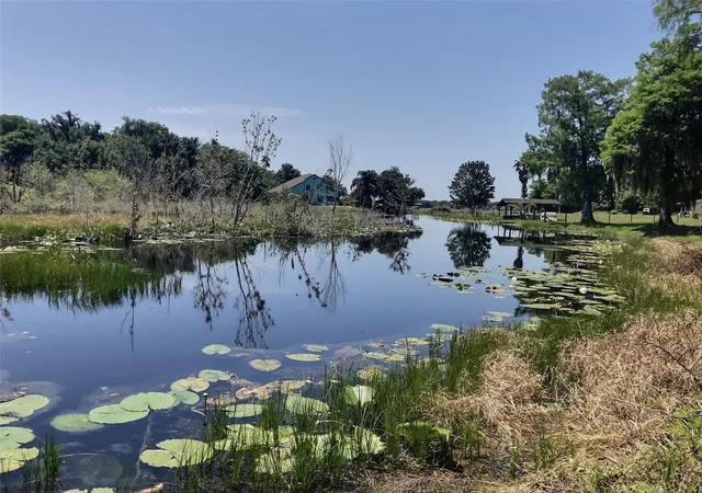 3rd image of 0 Se 110Th Street Rd, Belleview, FL 34420 | MLS# OM699725