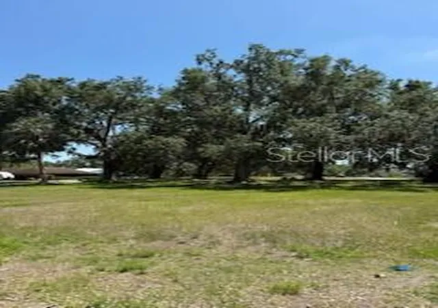 Homes for sale in Fort Meade, FL | River Oak Dr, Fort Meade, FL 33841 | MLS# L4952312